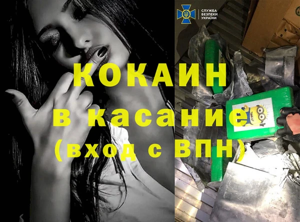 дурь Болотное