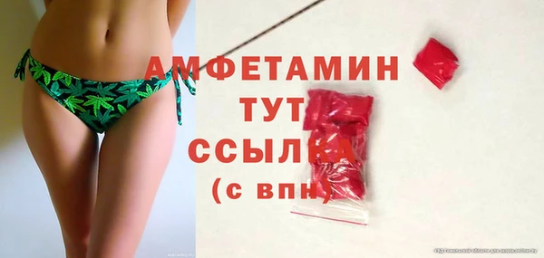 прущие грибы Няндома