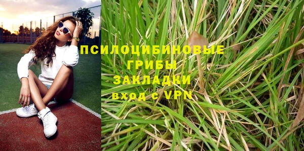бошки Нягань